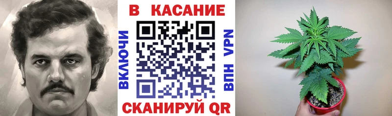 Виды наркотиков купить Юхнов КОКАИН Псилоцибиновые грибы Конопля Меф мяу мяу СК