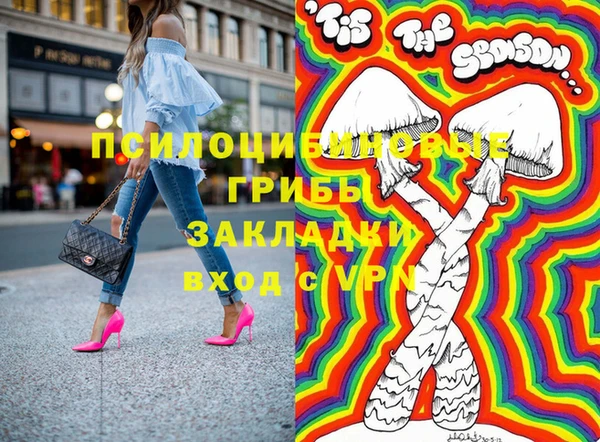 apvp Абаза